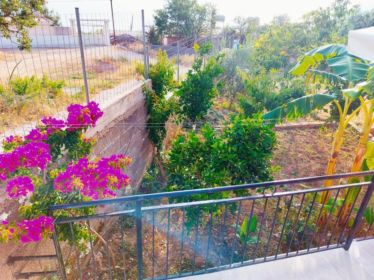 Orange Guest House Dhermi Bagian luar foto